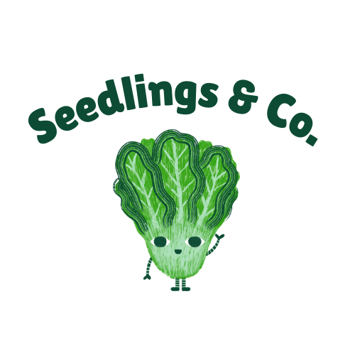 seedlings&co.